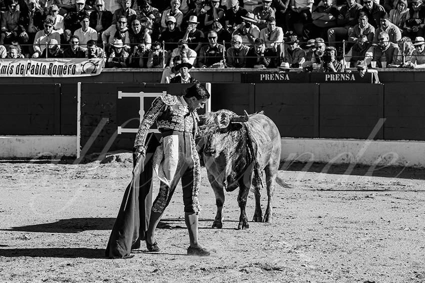 20250426 guadalix corrida 003 fd