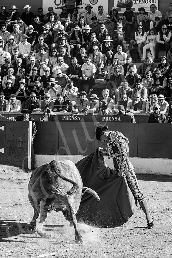 20250426 guadalix corrida 002 fd