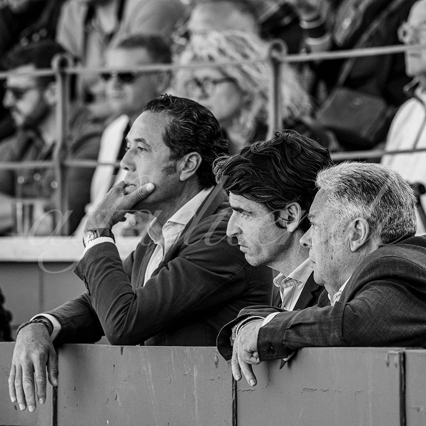 20250426 guadalix cuadrillas 003 copie