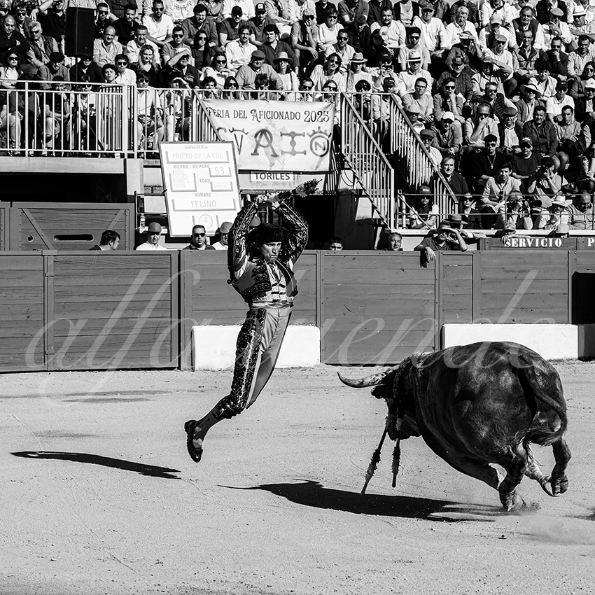 20250426 guadalix cuadrillas 002 copie