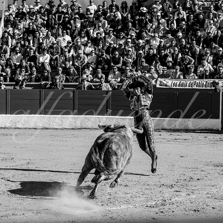 20250426 guadalix cuadrillas 001 copie