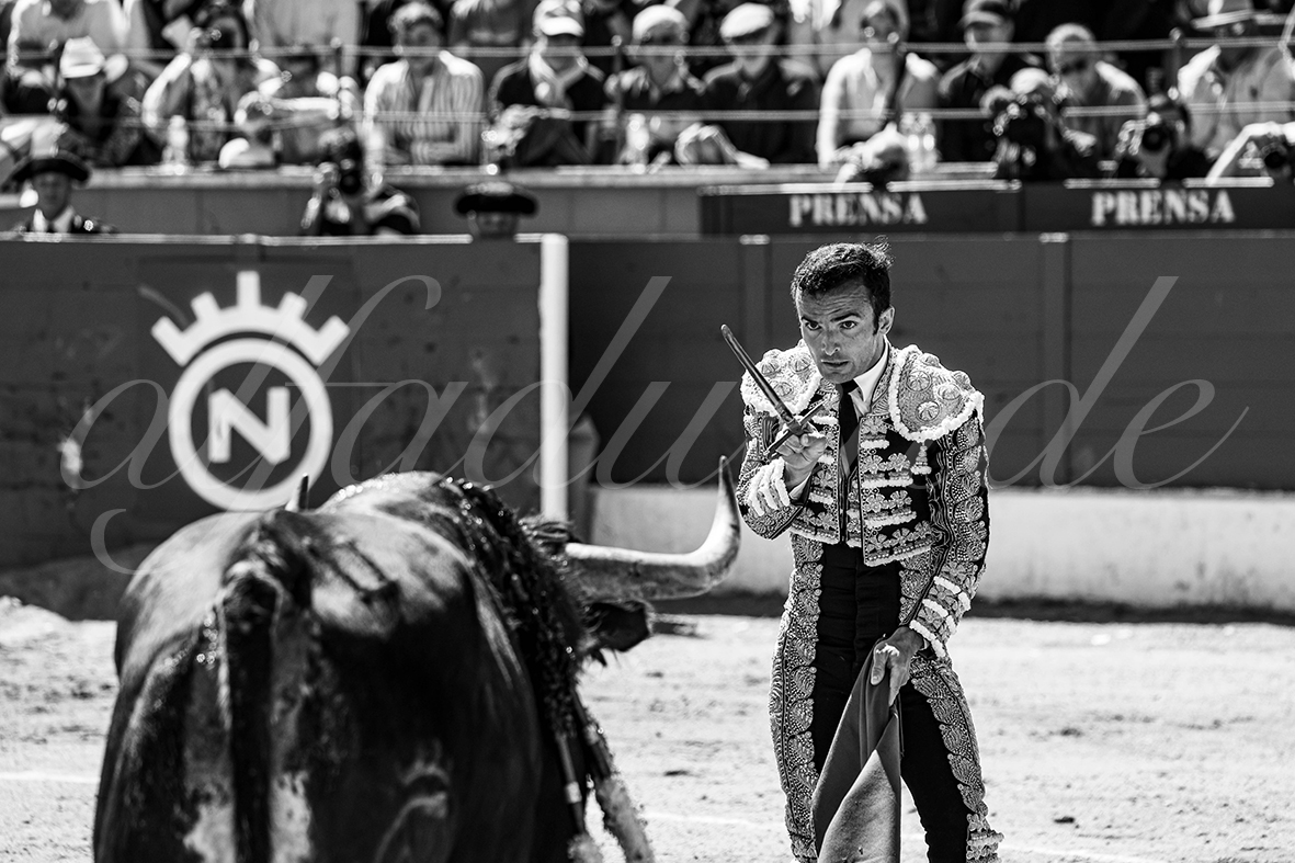 20250427 guadalix 011 fd