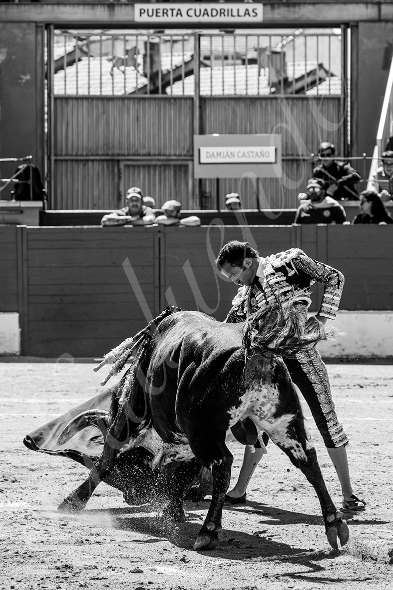 20250427 guadalix 009 fd