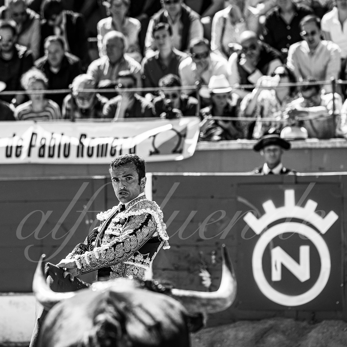 20250427 guadalix 008 fd