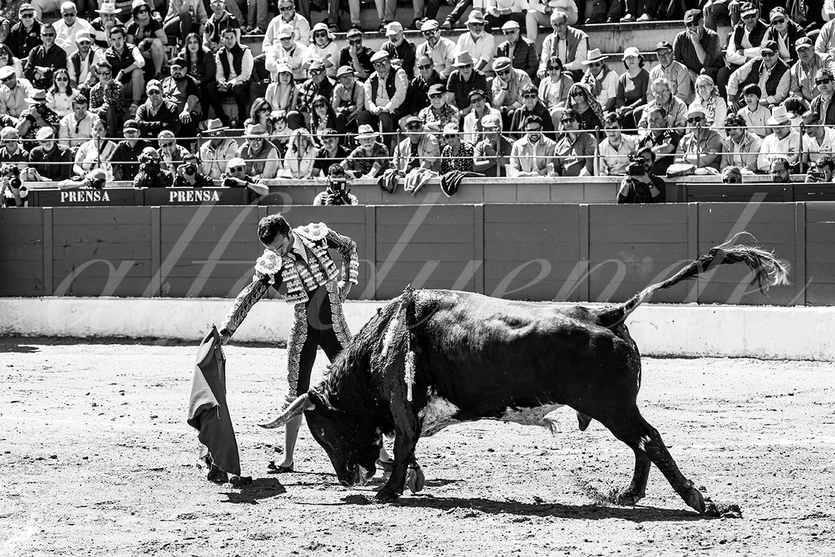 20250427 guadalix 007 fd