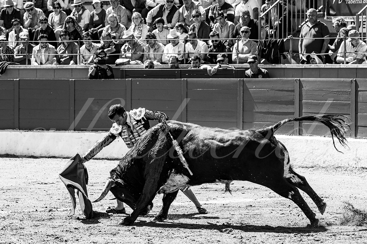 20250427 guadalix 006 fd