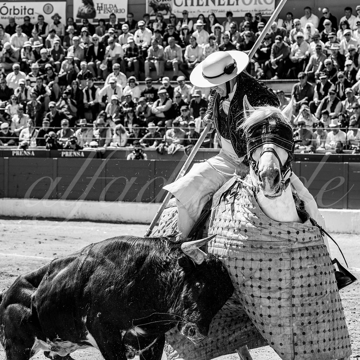 20250427 guadalix 005 fd