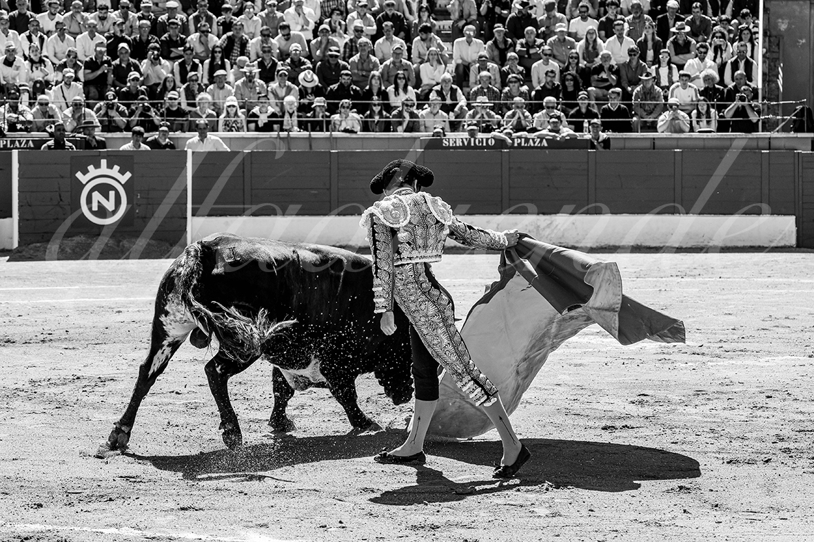 20250427 guadalix 004 fd