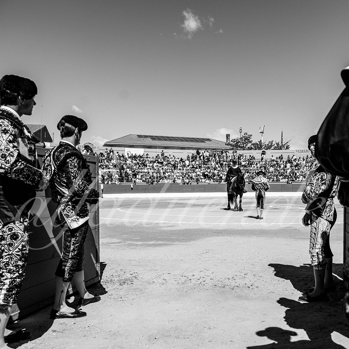 20250427 guadalix 002 fd