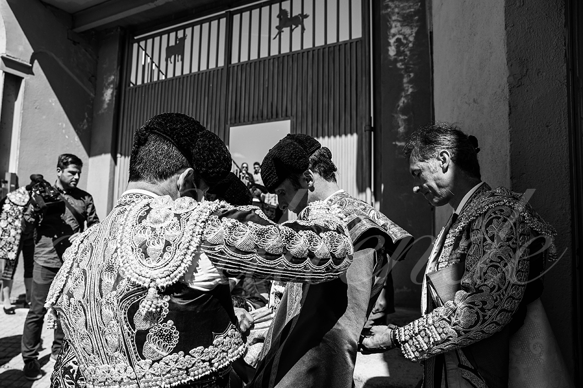 20250427 guadalix 001 fd