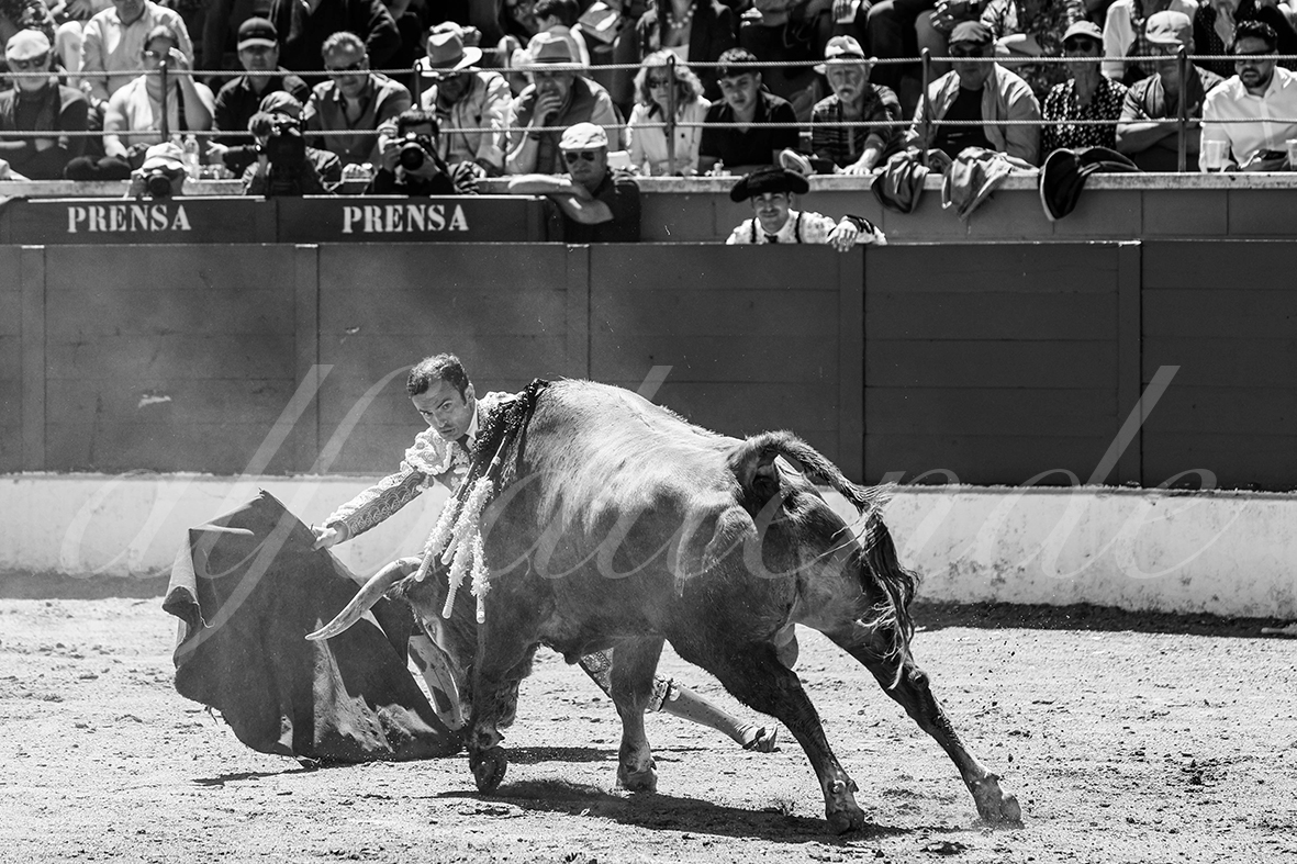 20250427 guadalix 022 fd