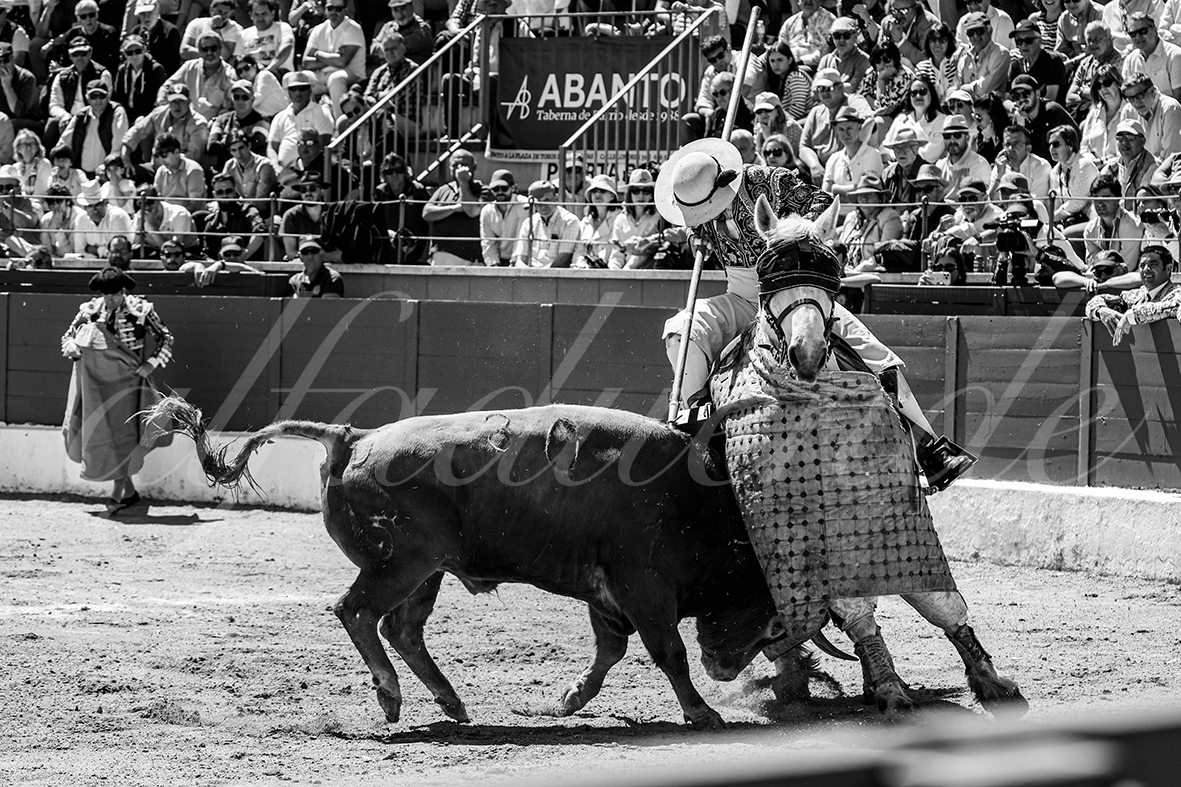 20250427 guadalix 021 fd