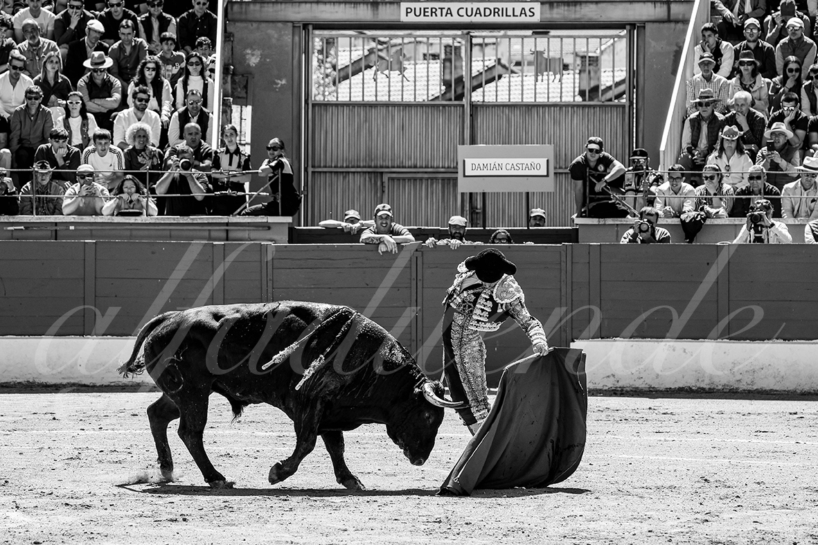 20250427 guadalix 020 fd