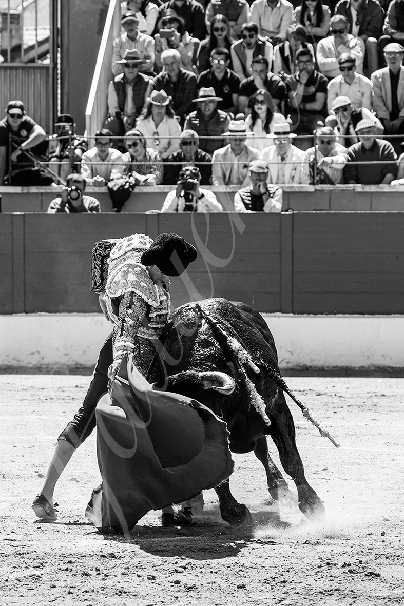 20250427 guadalix 019 fd