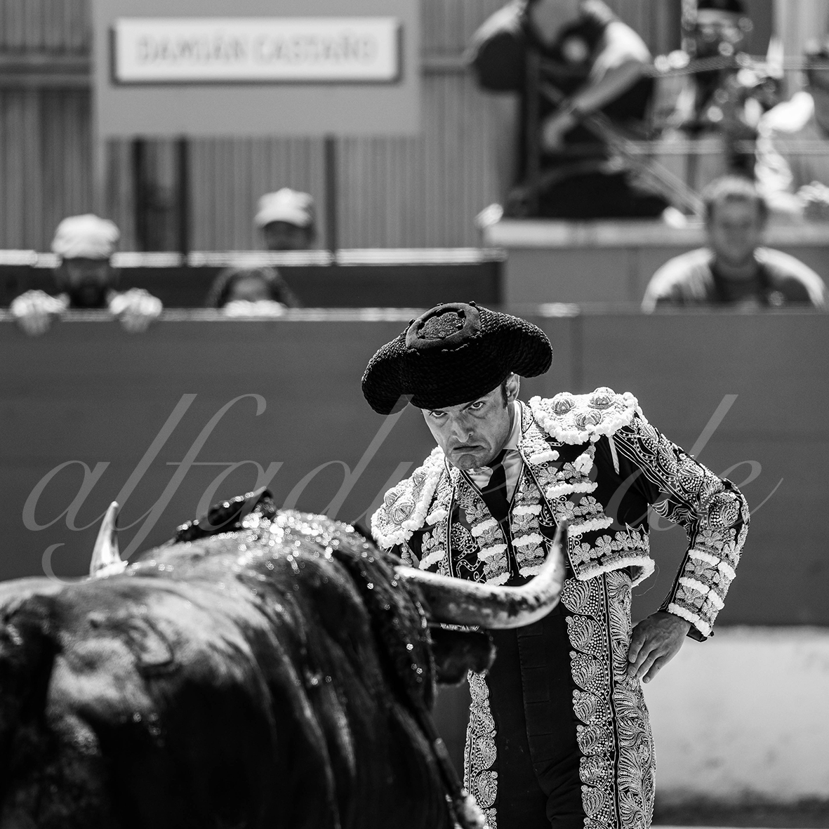 20250427 guadalix 018 fd