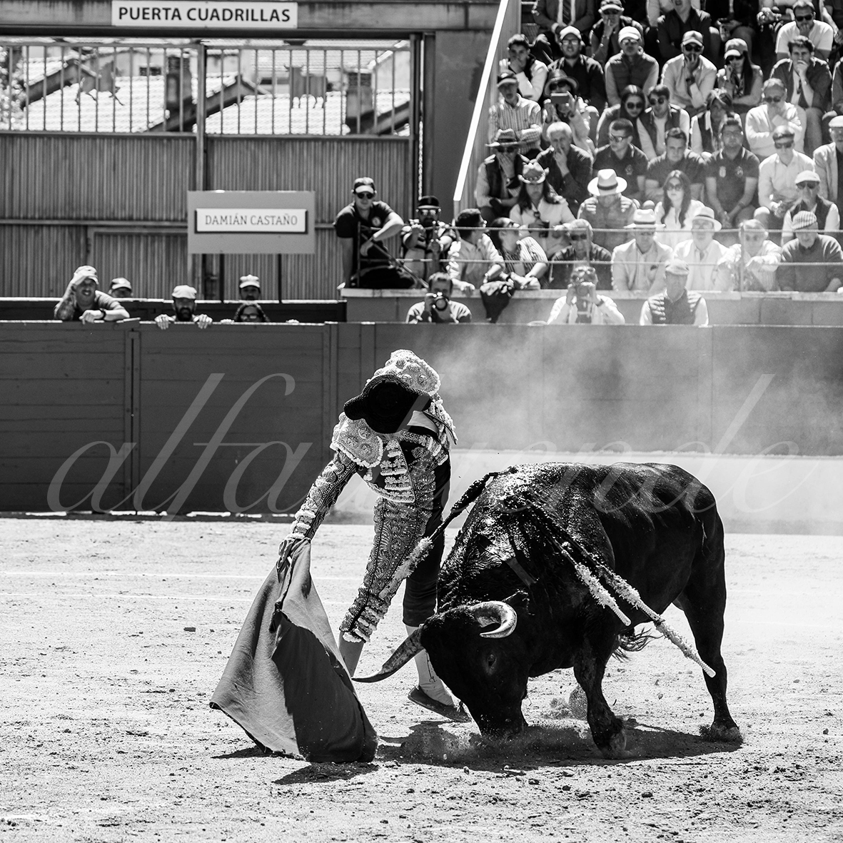 20250427 guadalix 017 fd