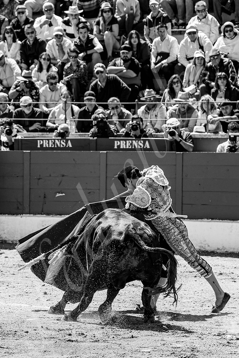 20250427 guadalix 016 fd