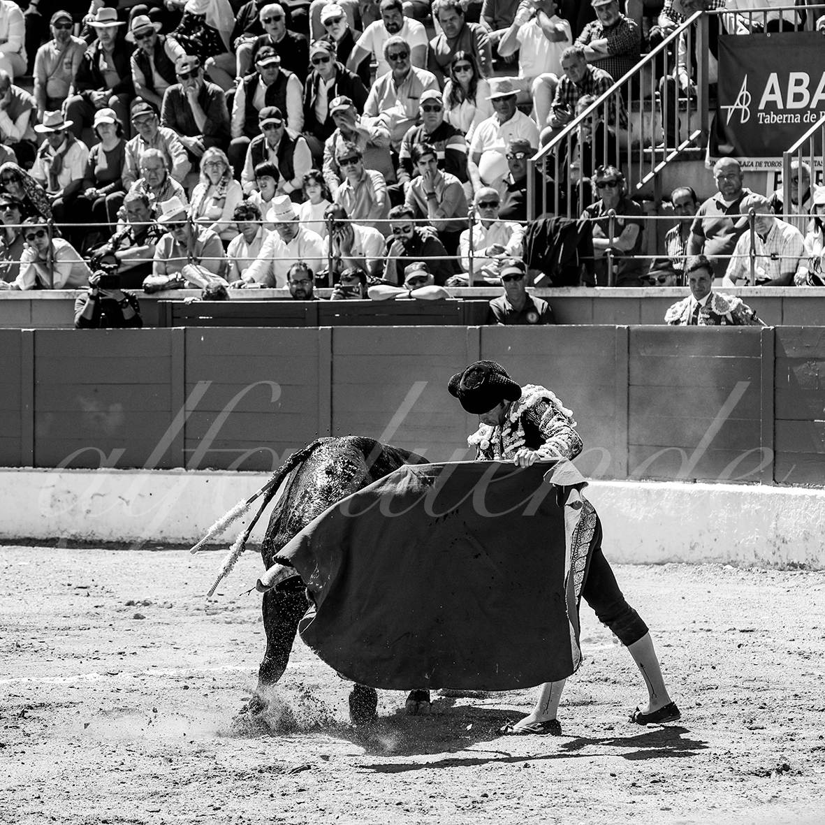 20250427 guadalix 015 fd