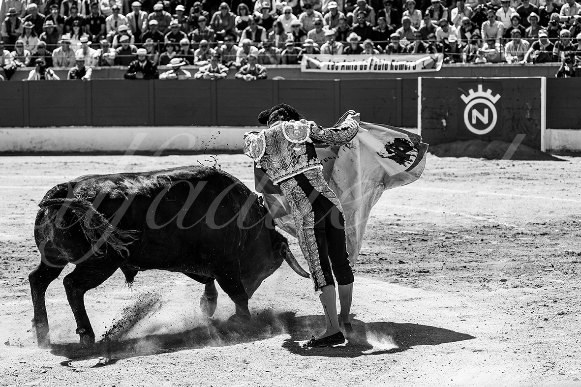 20250427 guadalix 014 fd