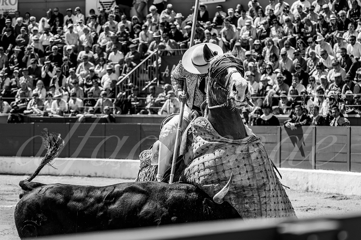 20250427 guadalix 013 fd