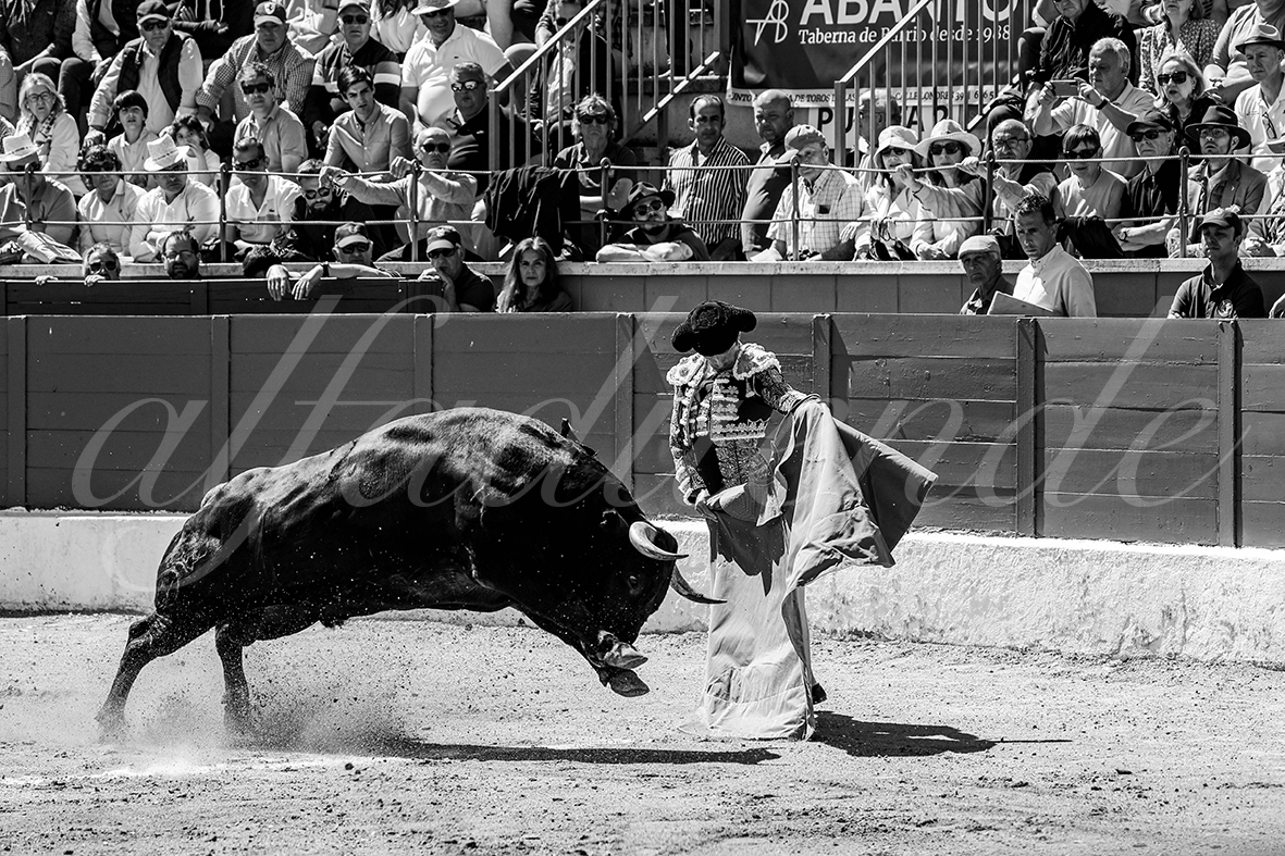 20250427 guadalix 012 fd