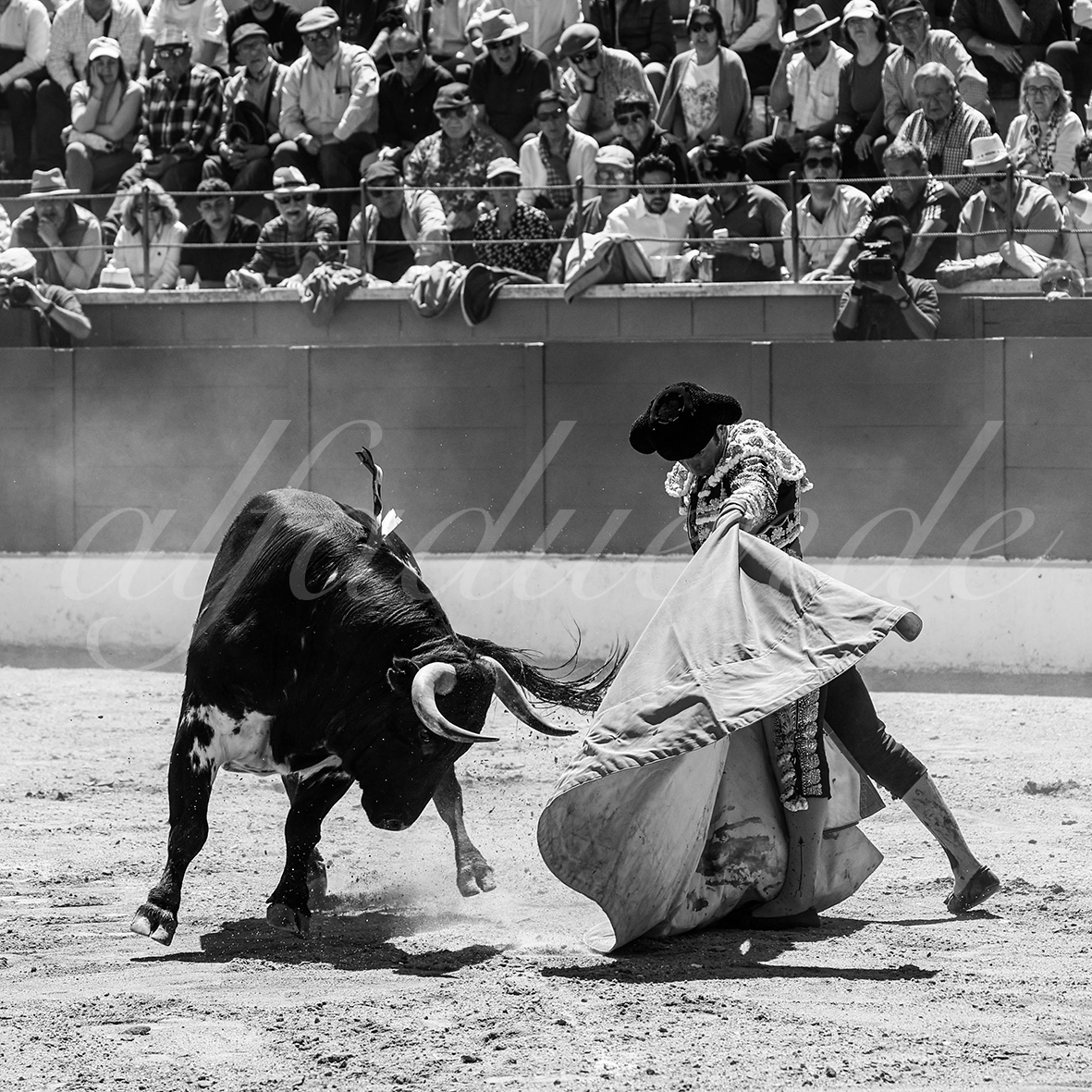 20250427 guadalix 033 fd