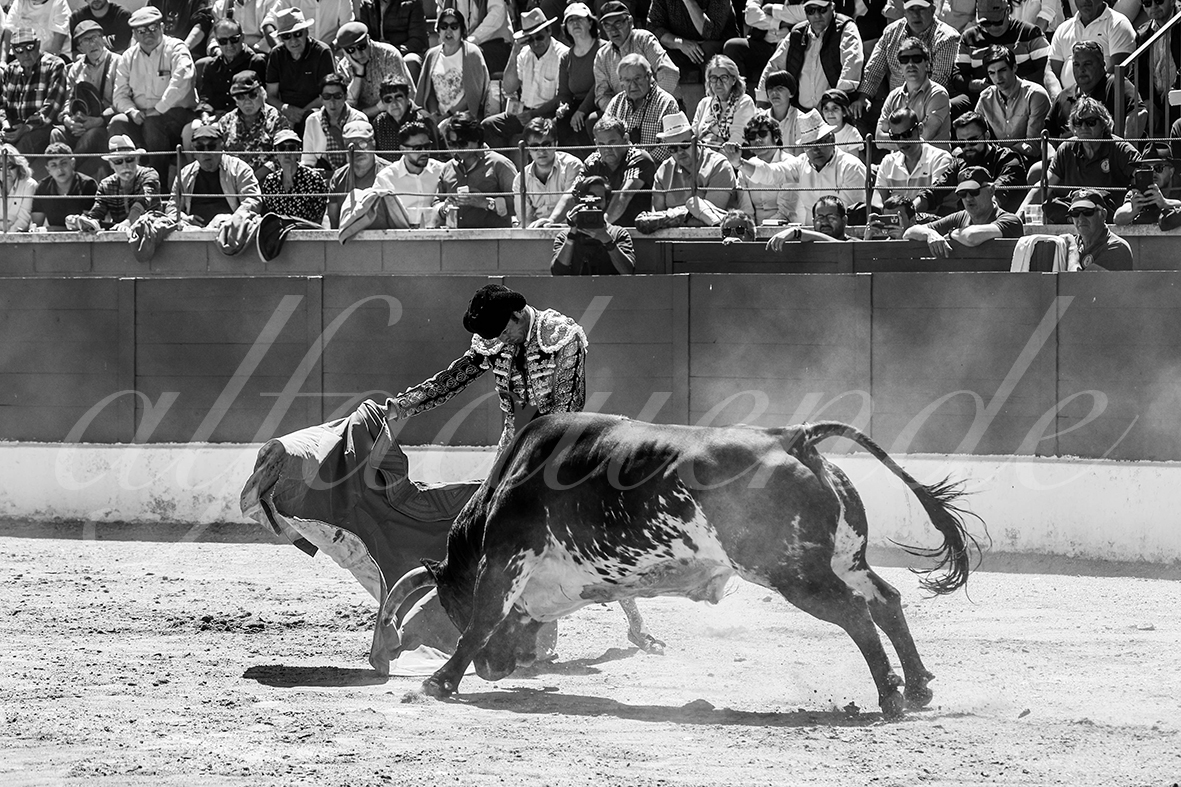 20250427 guadalix 032 fd