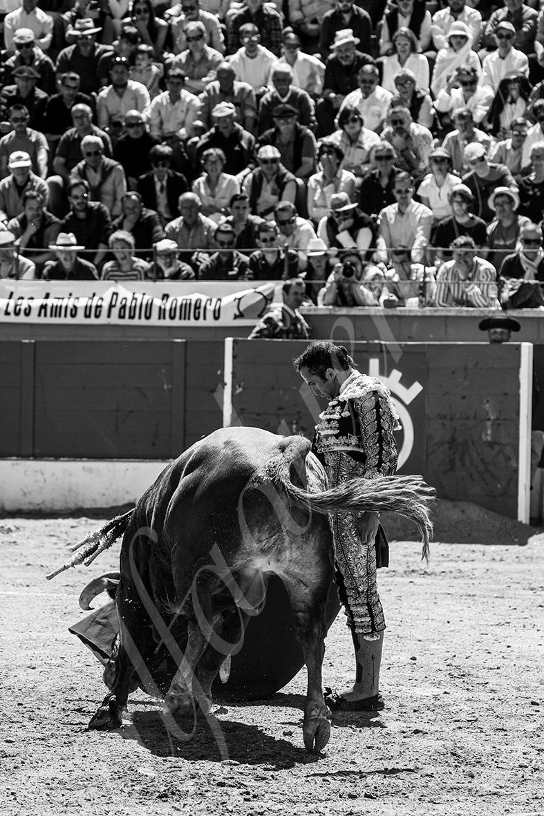 20250427 guadalix 031 fd