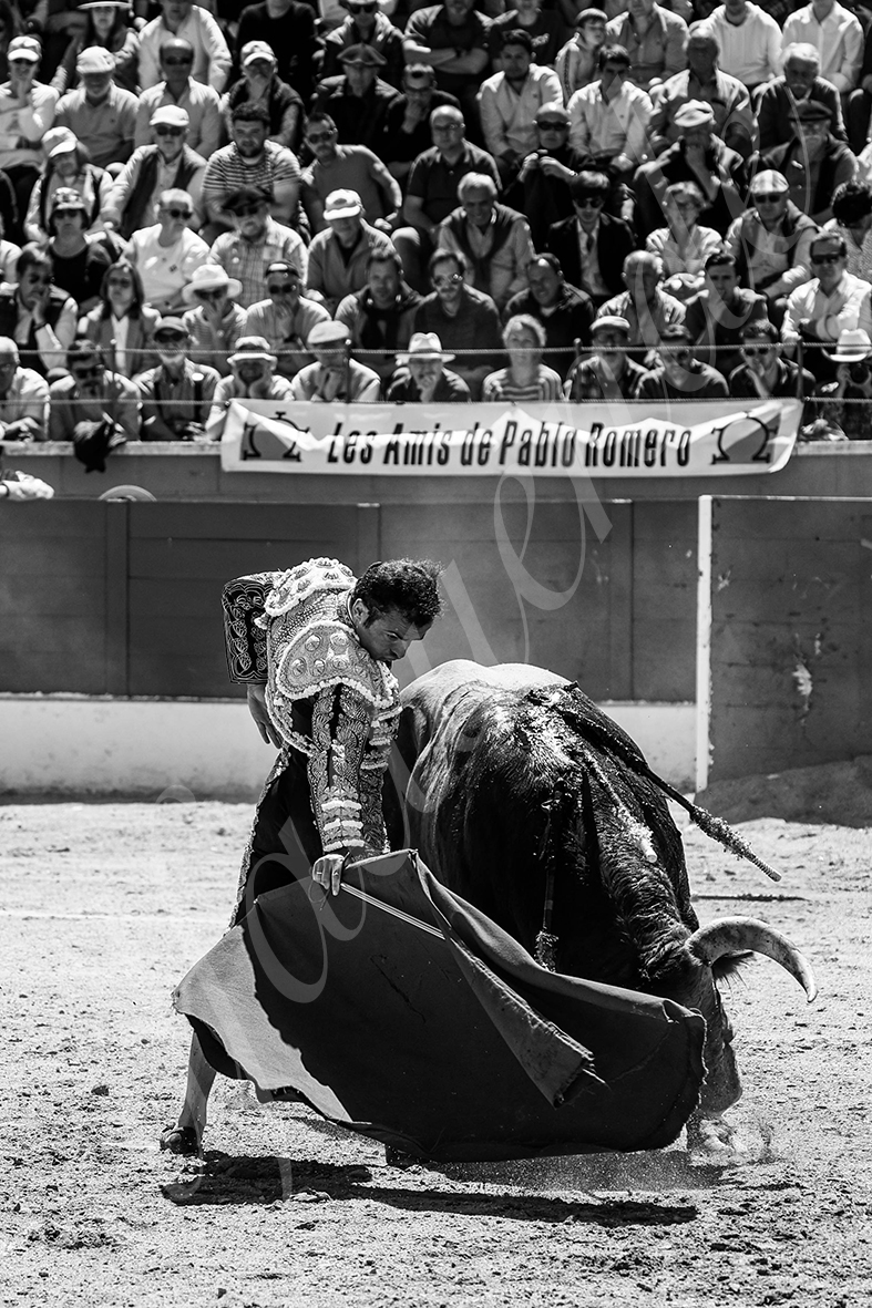 20250427 guadalix 030 fd