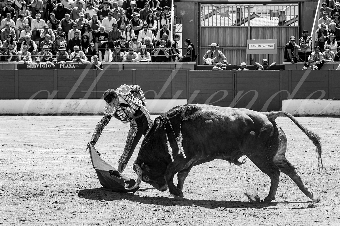 20250427 guadalix 029 fd