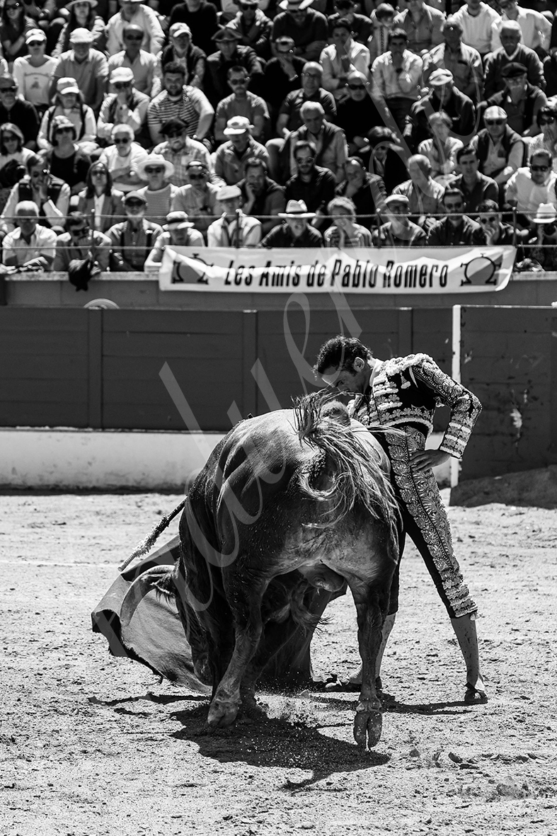 20250427 guadalix 028 fd