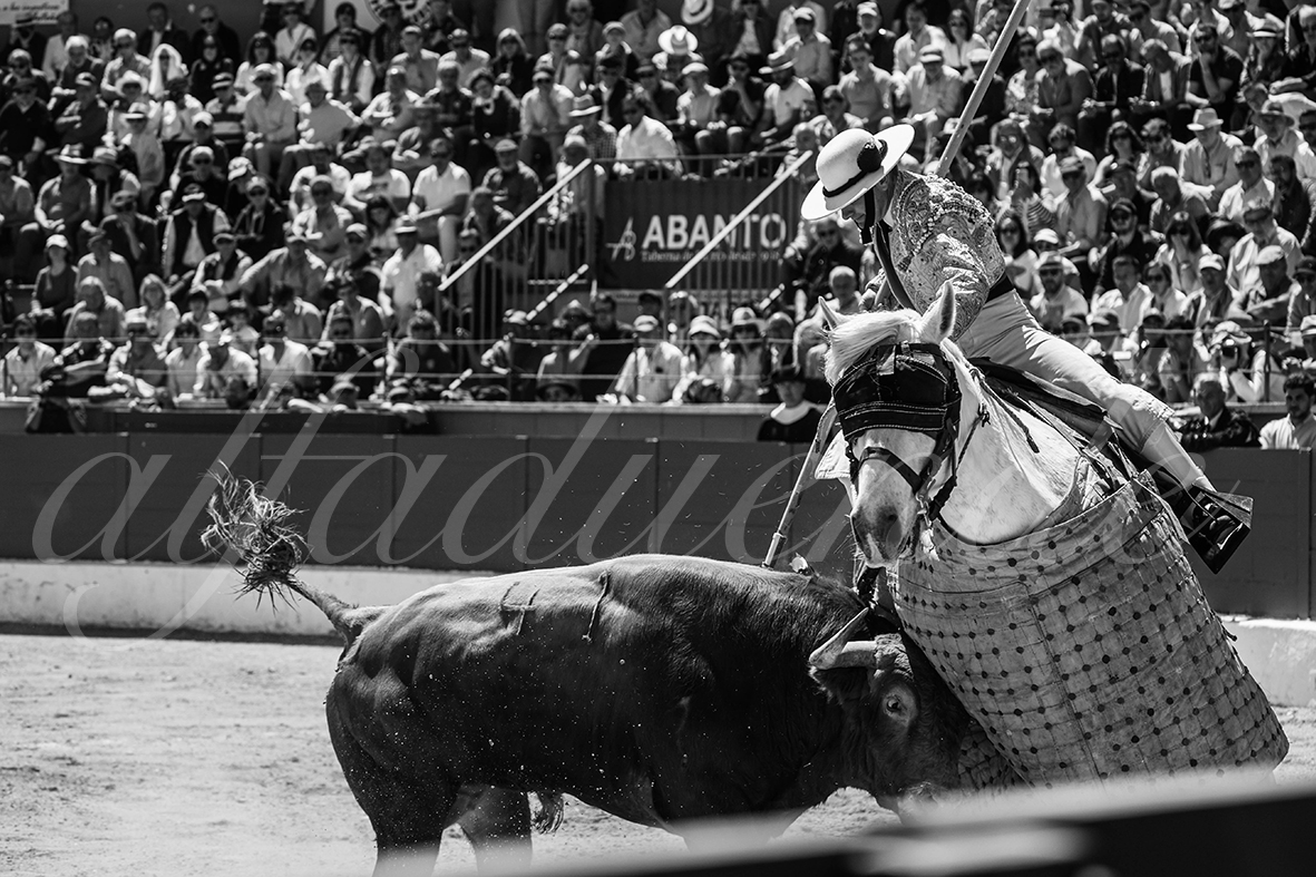 20250427 guadalix 027 fd