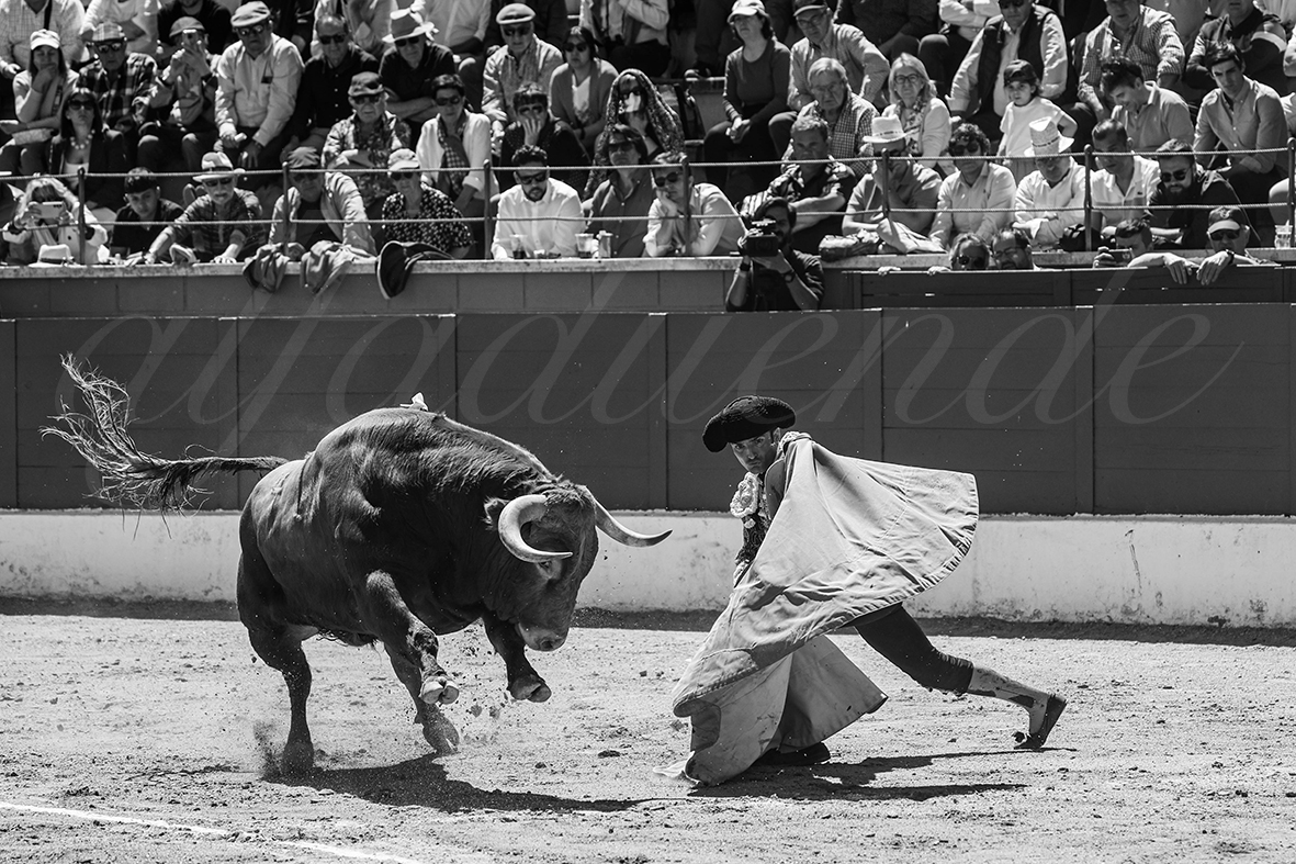 20250427 guadalix 026 fd