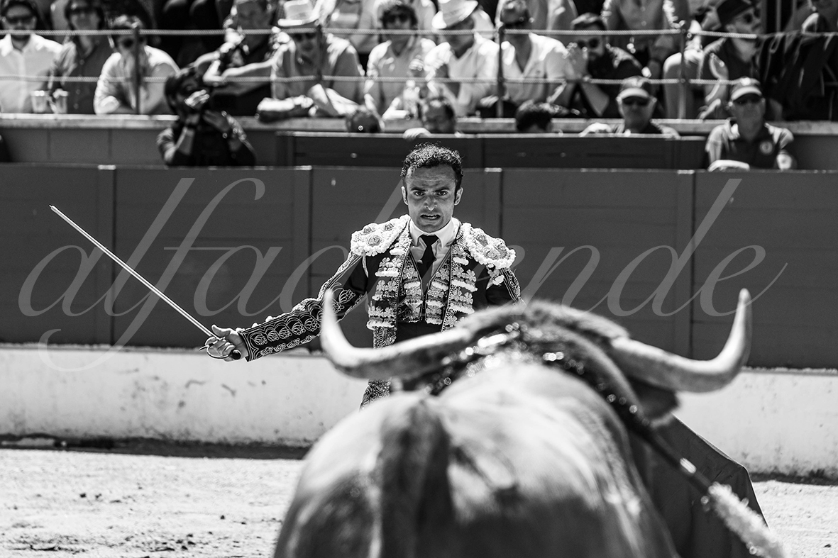 20250427 guadalix 025 fd