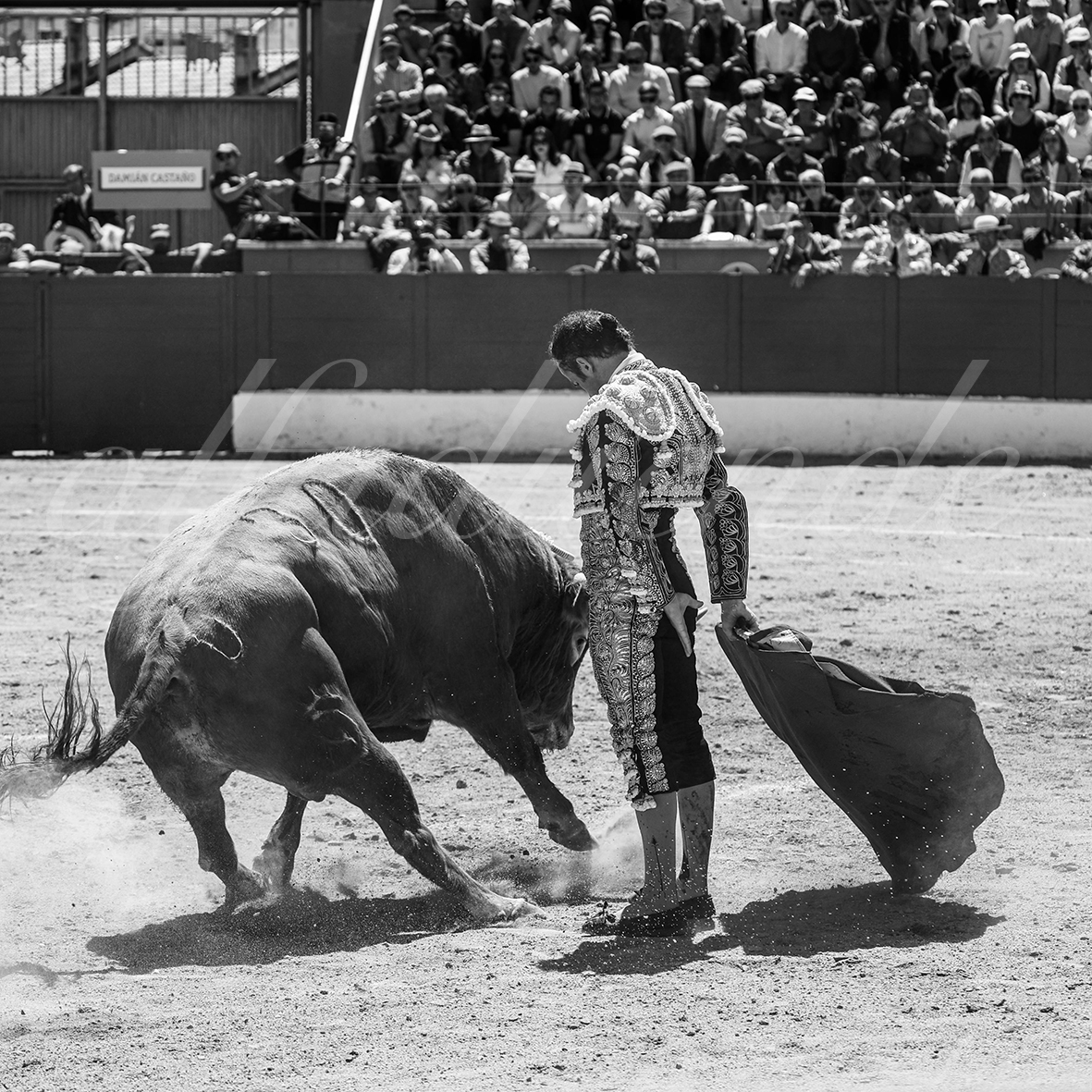 20250427 guadalix 024 fd