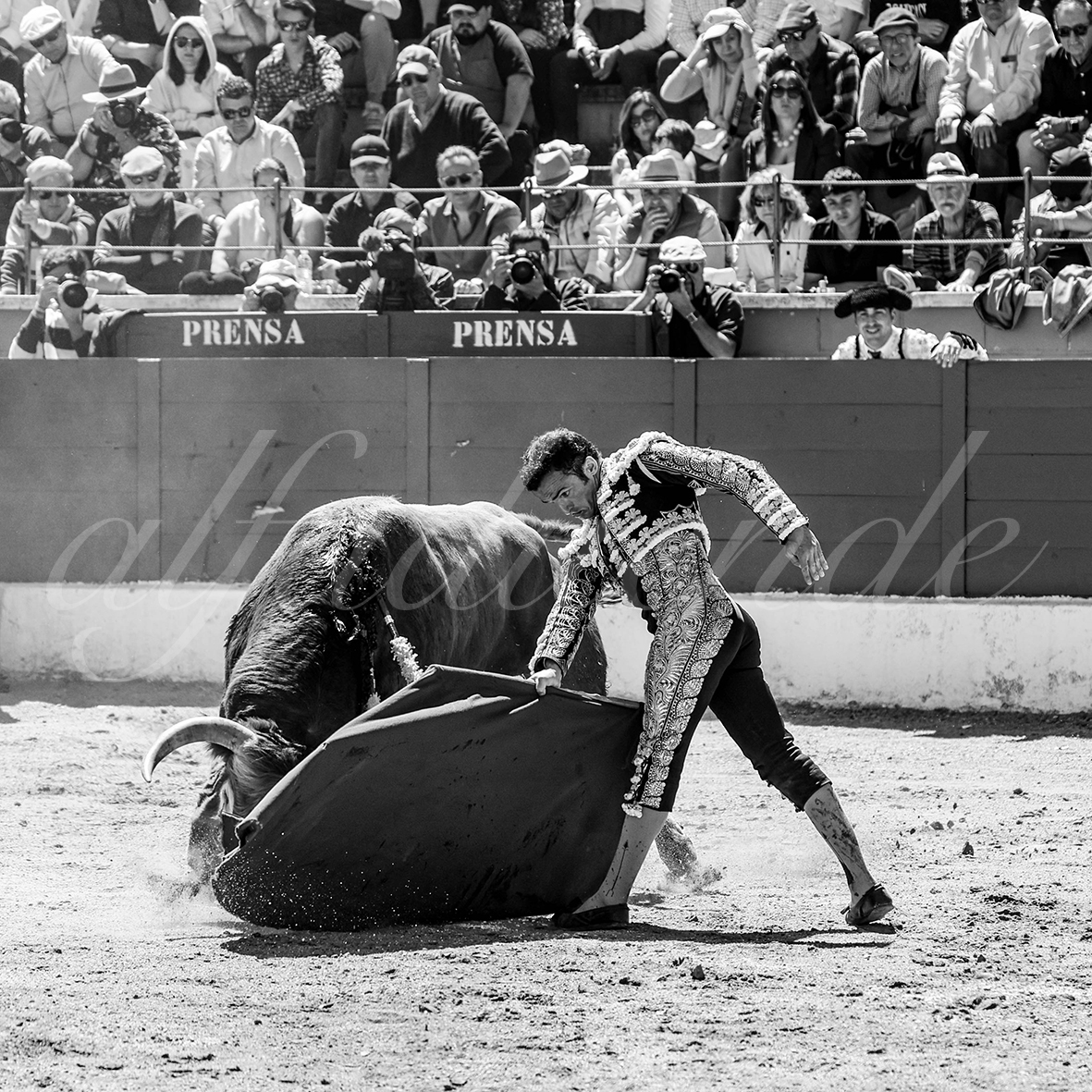 20250427 guadalix 023 fd