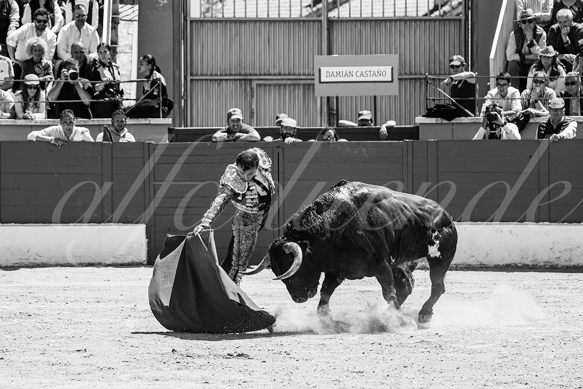 20250427 guadalix 045 fd