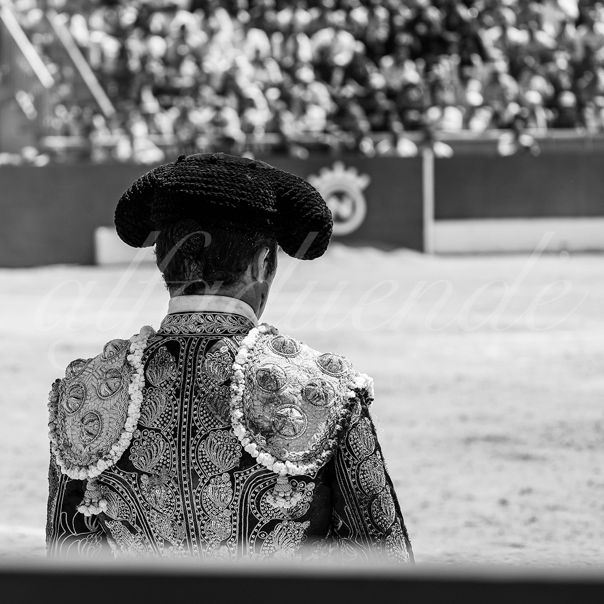 20250427 guadalix 044 fd