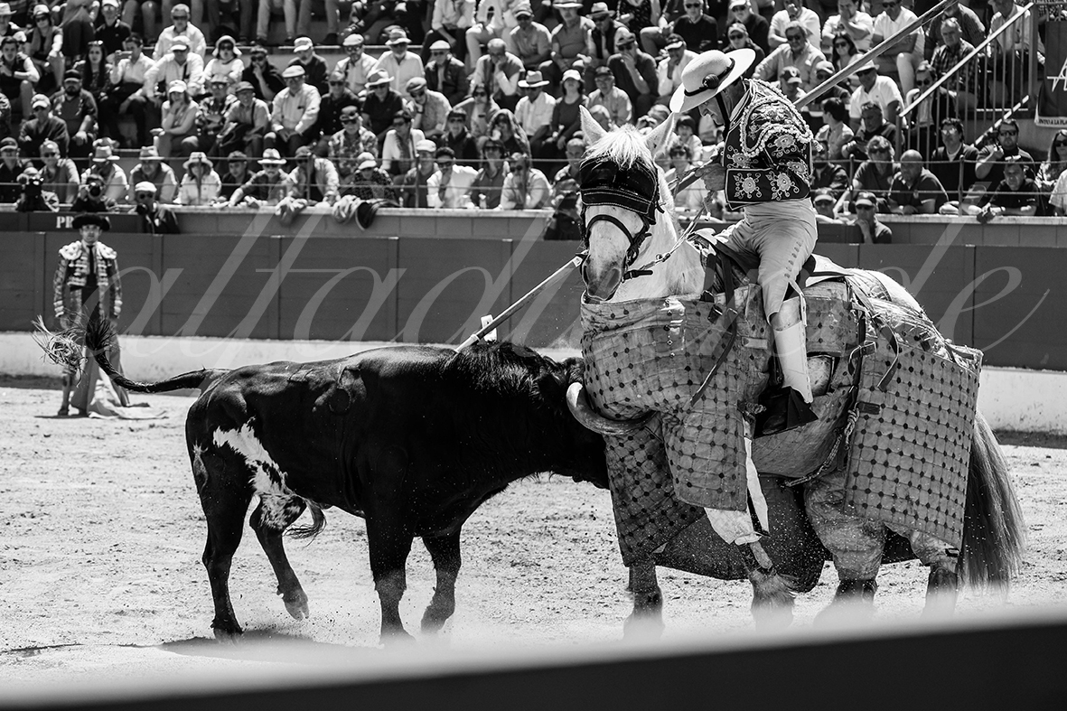 20250427 guadalix 043 fd