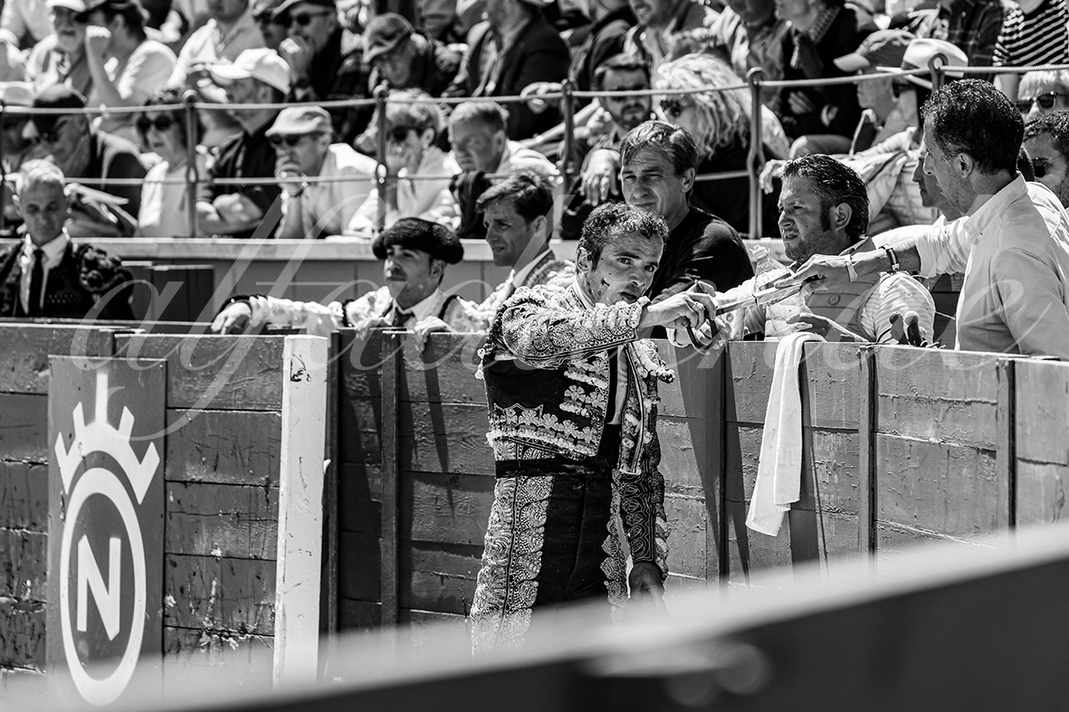 20250427 guadalix 042 fd