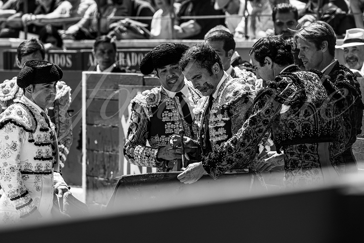 20250427 guadalix 041 fd