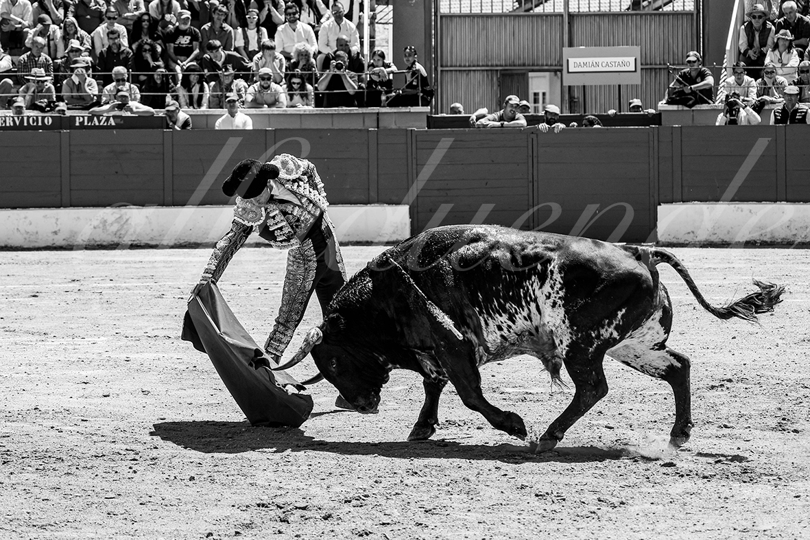 20250427 guadalix 040 fd