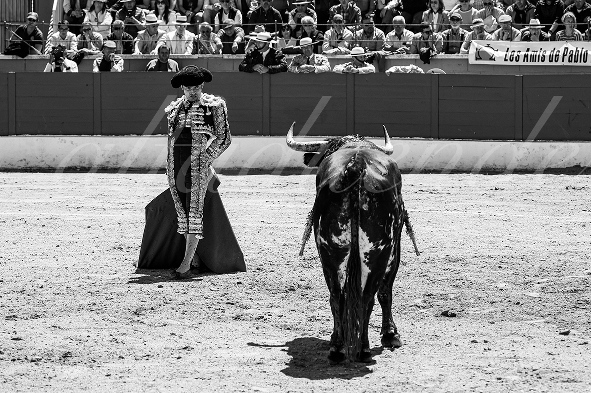 20250427 guadalix 039 fd