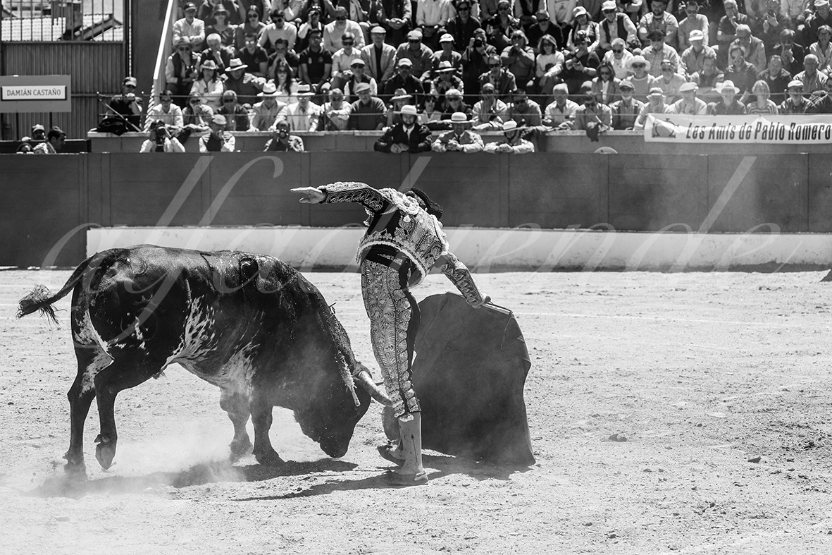 20250427 guadalix 038 fd