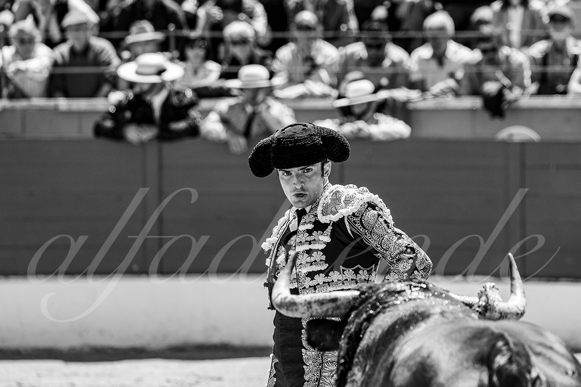 20250427 guadalix 037 fd