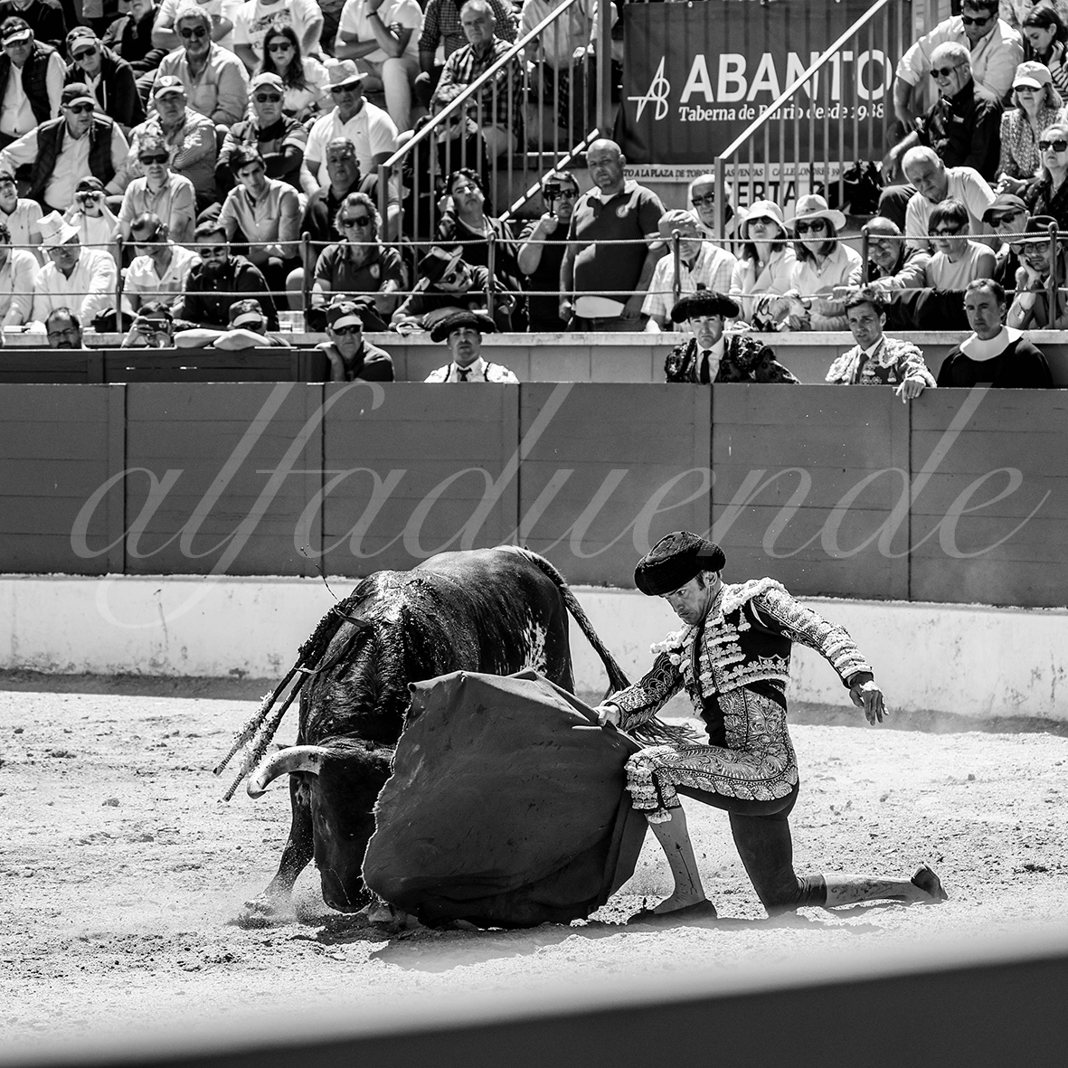 20250427 guadalix 036 fd