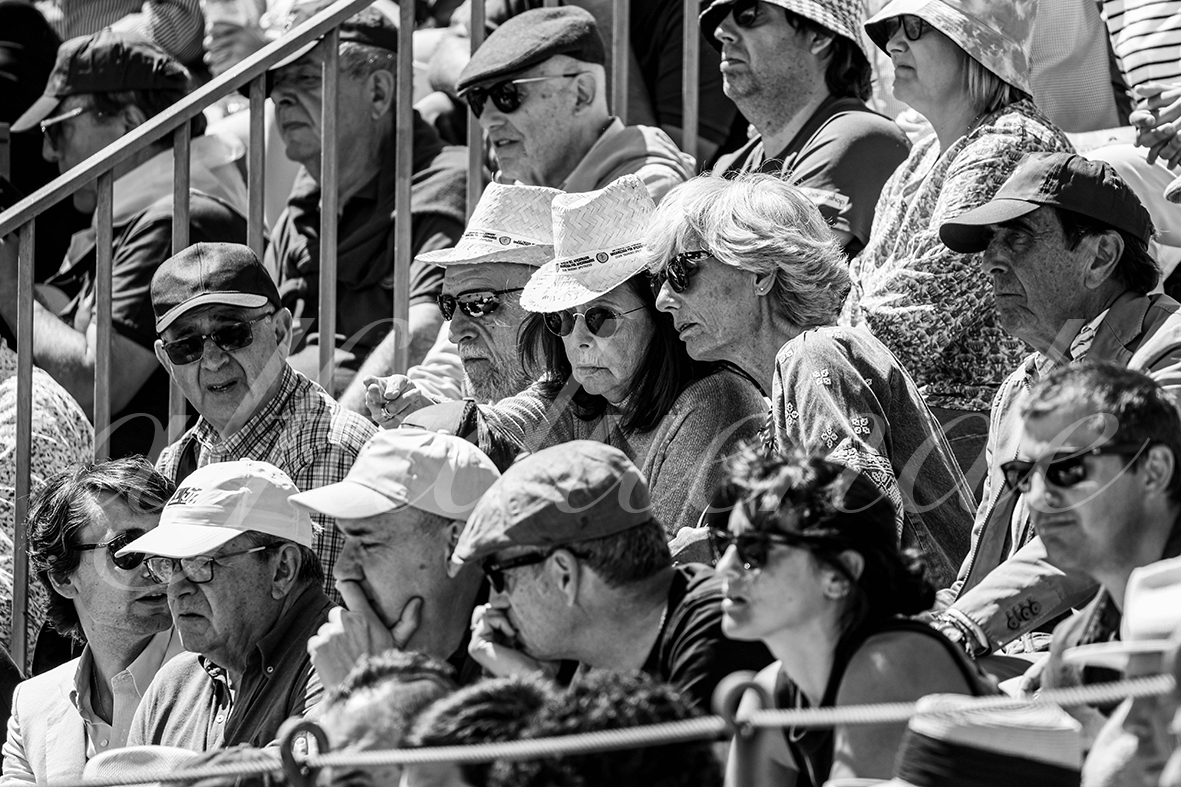 20250427 guadalix 035 fd