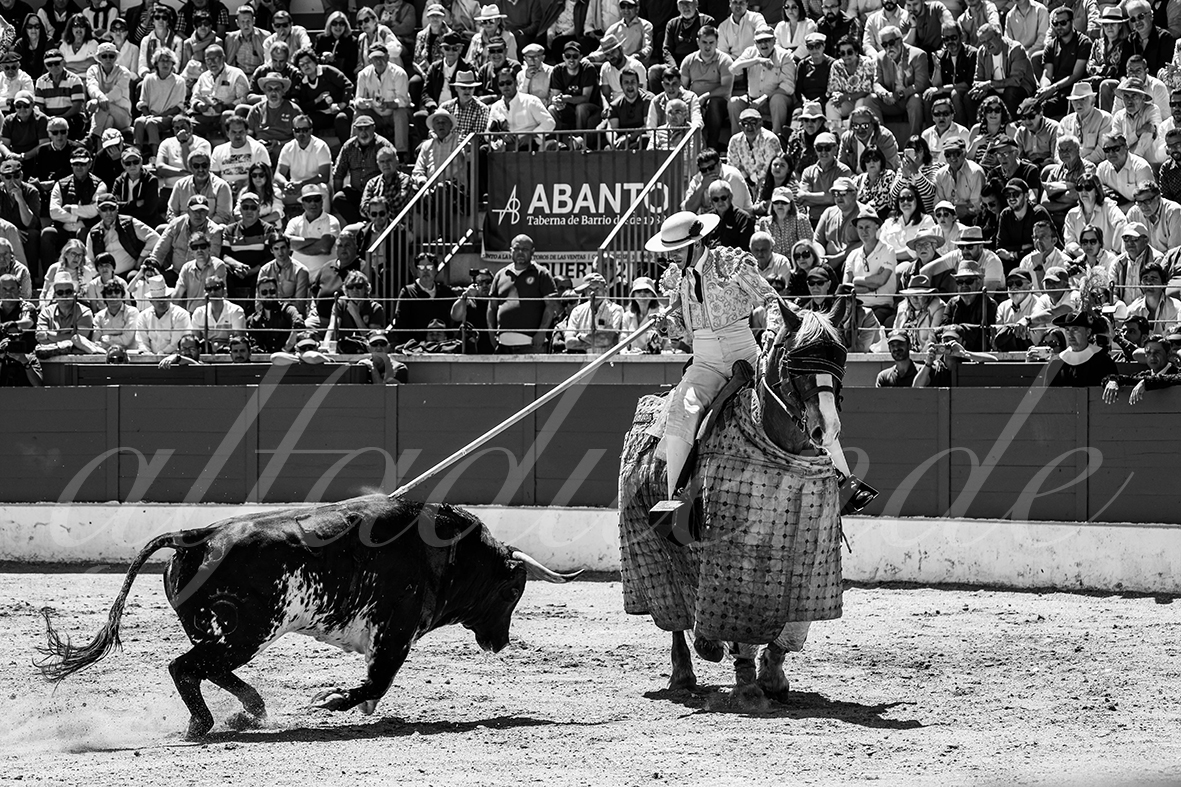 20250427 guadalix 034 fd