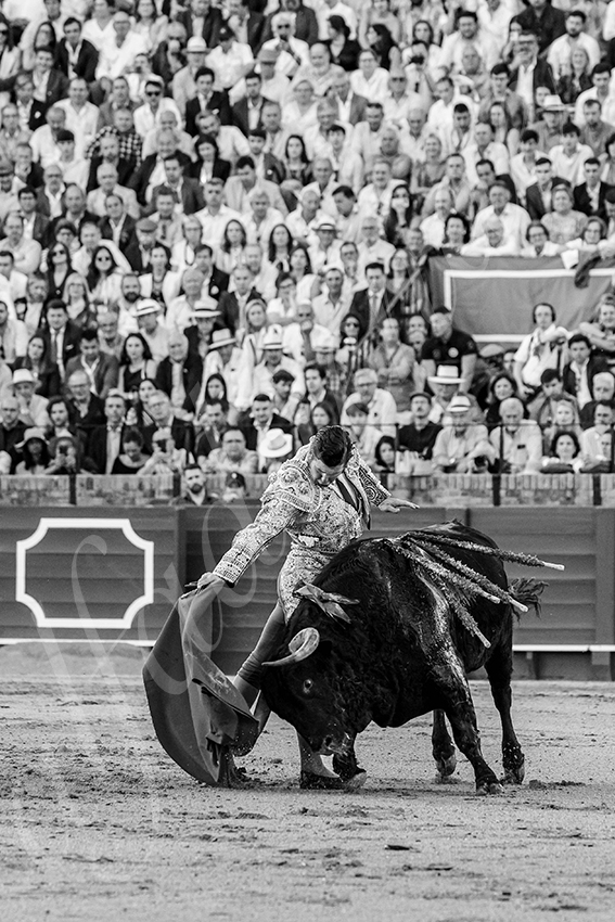 20250501sevilla 011 fd