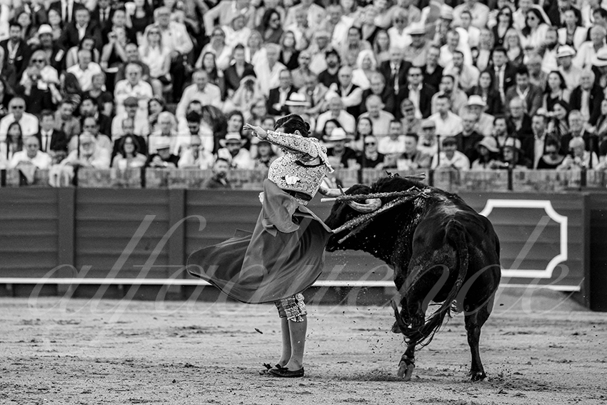 20250501sevilla 010 fd